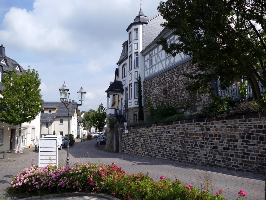 Apartments Im Chateau D'Esprit Höhr-Grenzhausen Kültér fotó